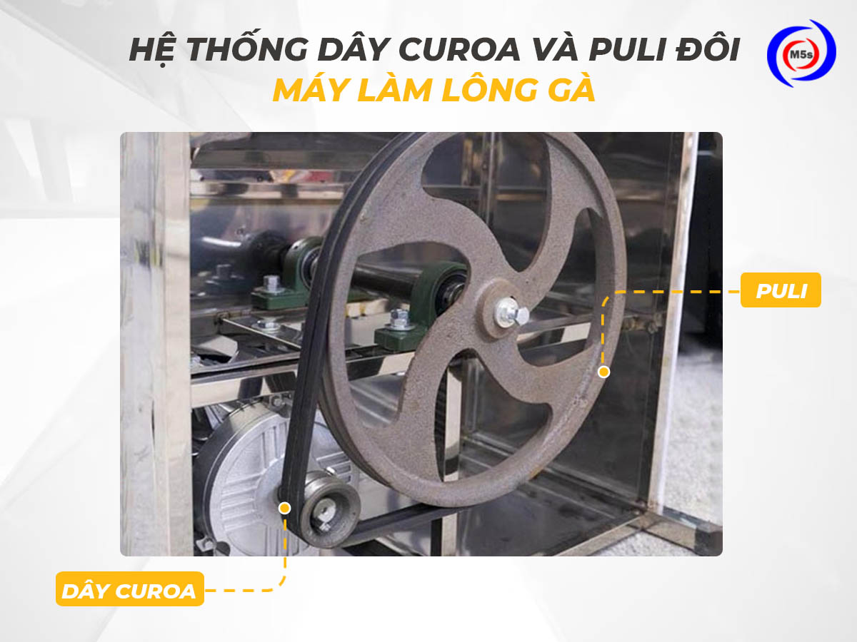 Hệ thống dây curoa và puli đôi Hệ thống dây curoa và puli đôi