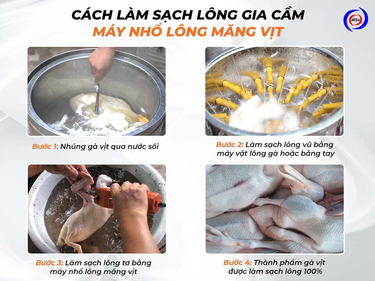 Hướng dẫn sử dụng máy nhổ lông măng vịt cầm tay cải tiến Hướng dẫn sử dụng máy nhổ lông măng vịt cầm tay cải tiến