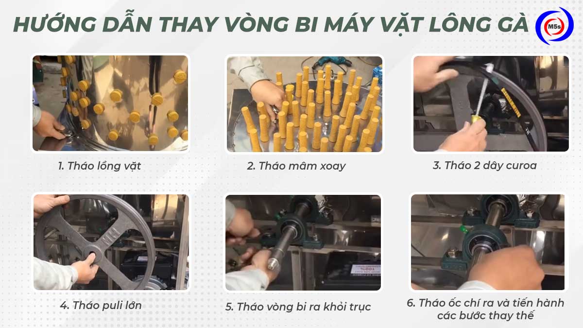 Hướng dẫn cách thay vòng bi máy vặt lông gà Hướng dẫn cách thay vòng bi máy vặt lông gà