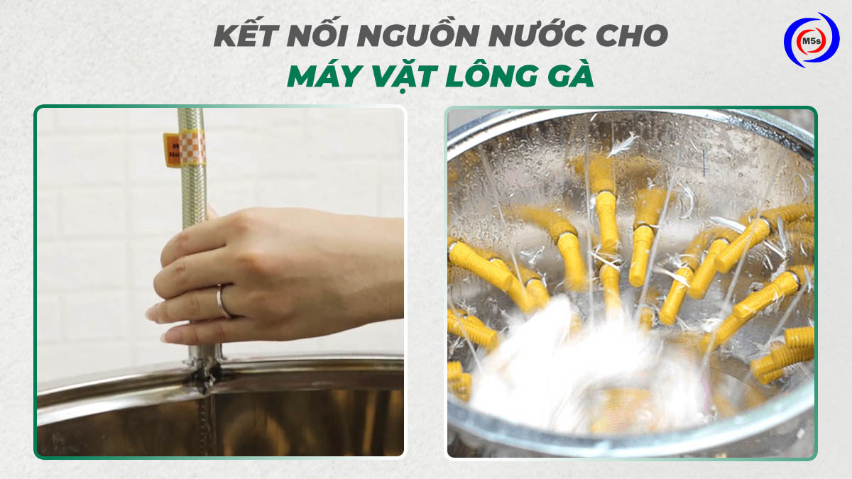 Kết nối nguồn nước cho máy vặt lông gà Kết nối nguồn nước cho máy vặt lông gà