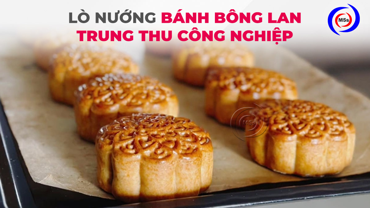Lò nướng bánh bông lan công nghiệp Lò nướng bánh bông lan công nghiệp