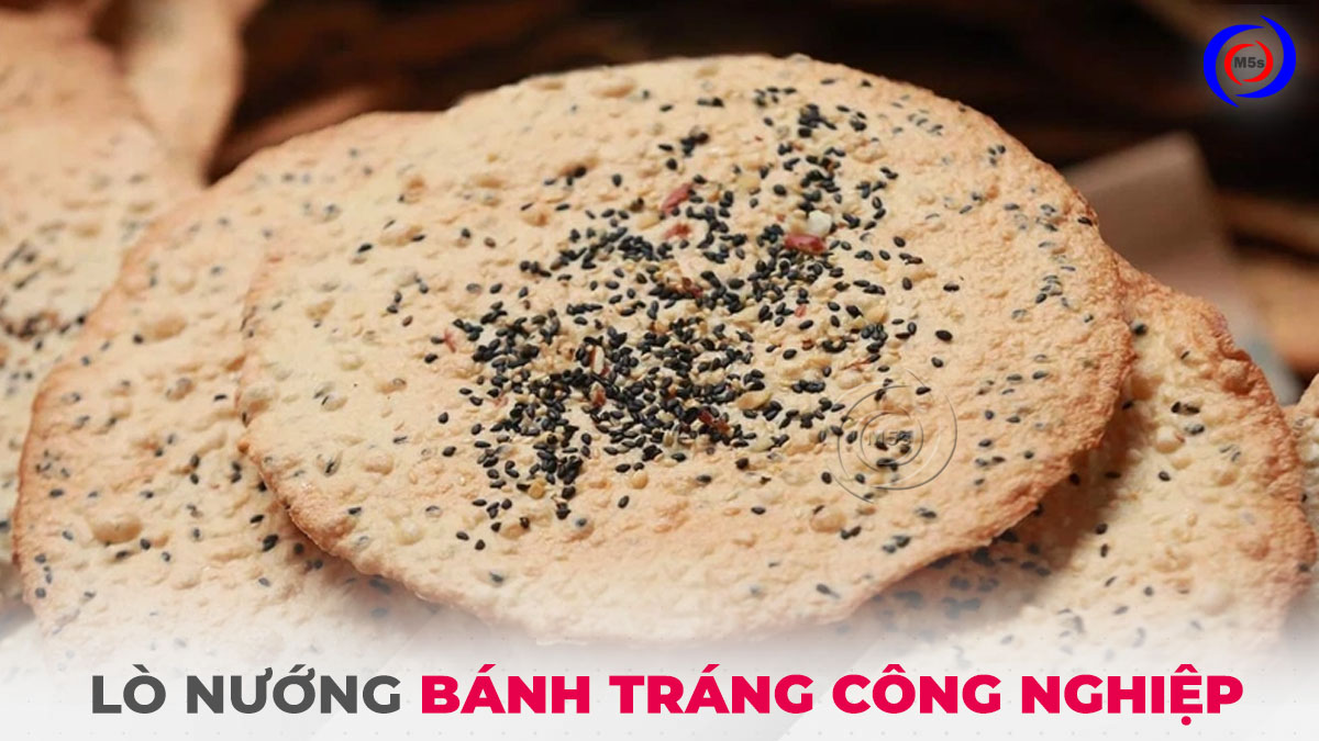 lò nướng bánh tráng công nghiệp lò nướng bánh tráng công nghiệp
