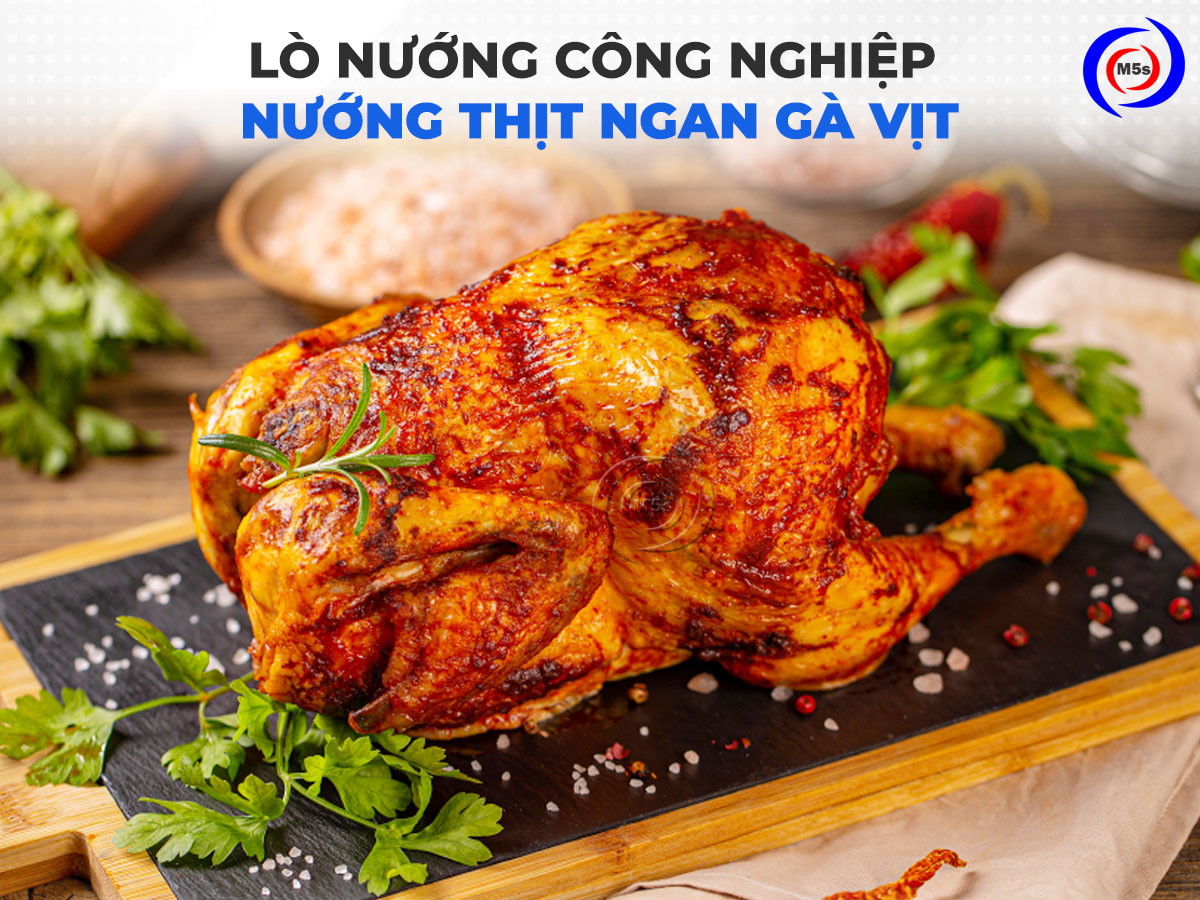 Lò nướng công nghiệp nướng gà, vịt, ngan Lò nướng công nghiệp nướng gà, vịt, ngan