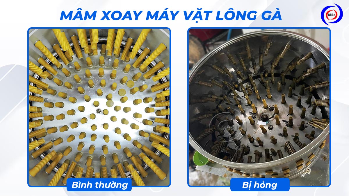 Mâm xoay máy vặt lông gà bị hỏng Mâm xoay máy vặt lông gà bị hỏng