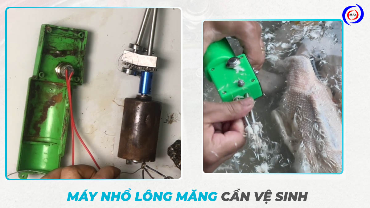 Máy nhổ lông măng vịt cần vệ sinh Máy nhổ lông măng vịt cần vệ sinh