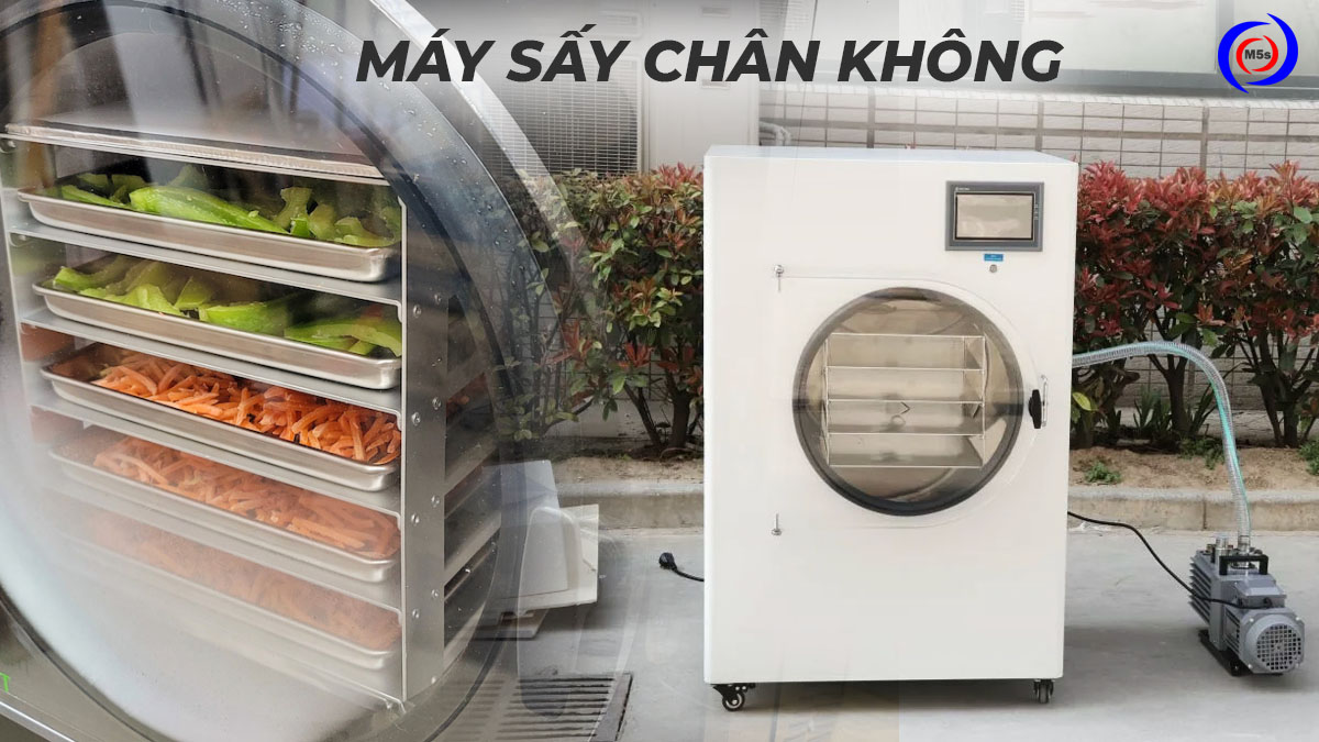 Máy sấy chân không Máy sấy chân không