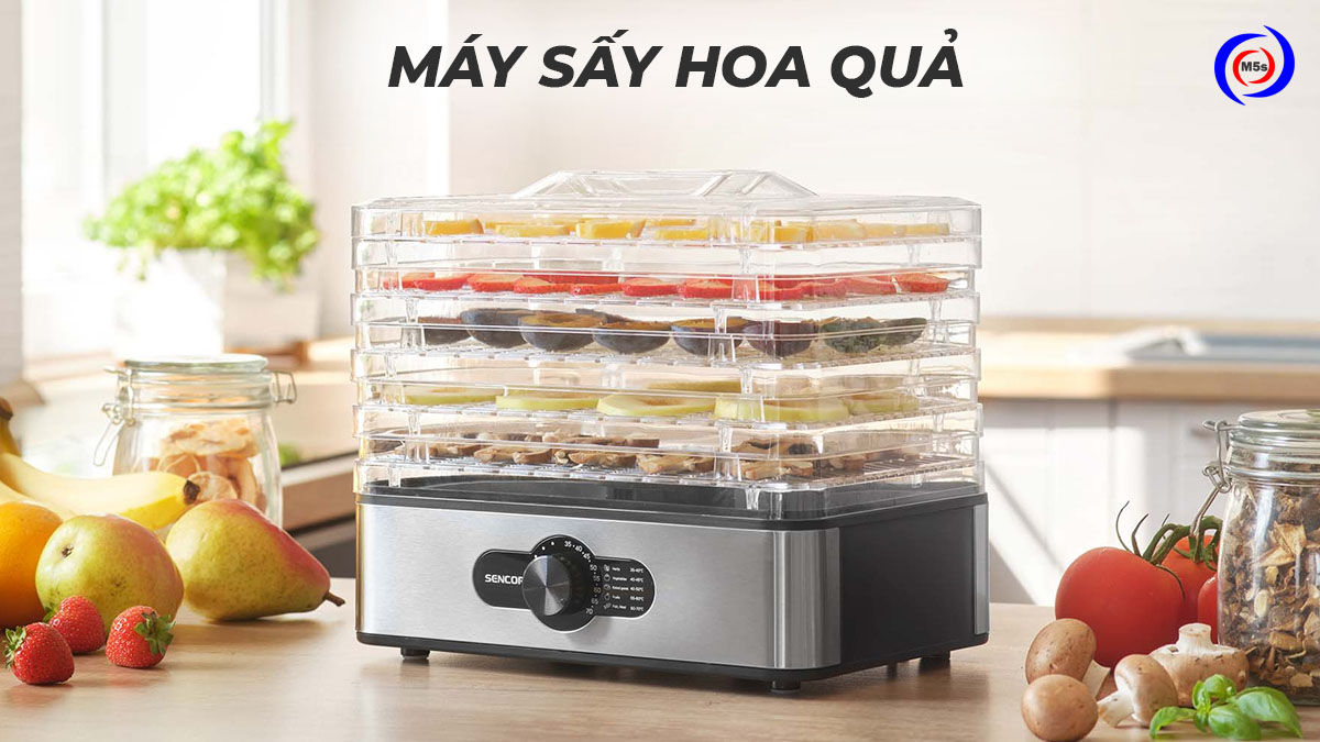 Máy sấy hoa quả Máy sấy hoa quả
