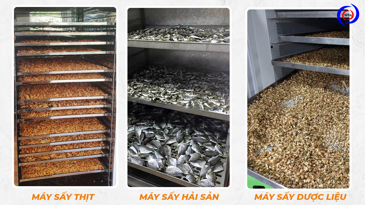 Máy sấy thịt, hải sản và dược liệu Máy sấy thịt, hải sản và dược liệu