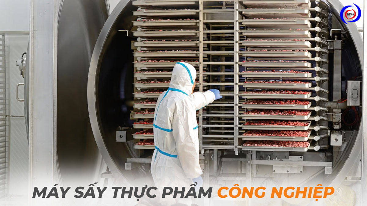 Máy sấy thực phẩm công nghiệp Máy sấy thực phẩm công nghiệp
