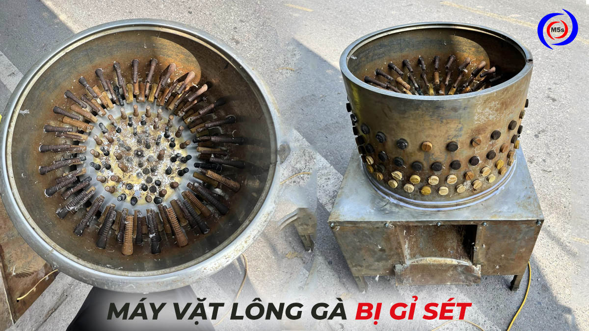 Máy vặt lông gà bị gỉ sét Máy vặt lông gà bị gỉ sét