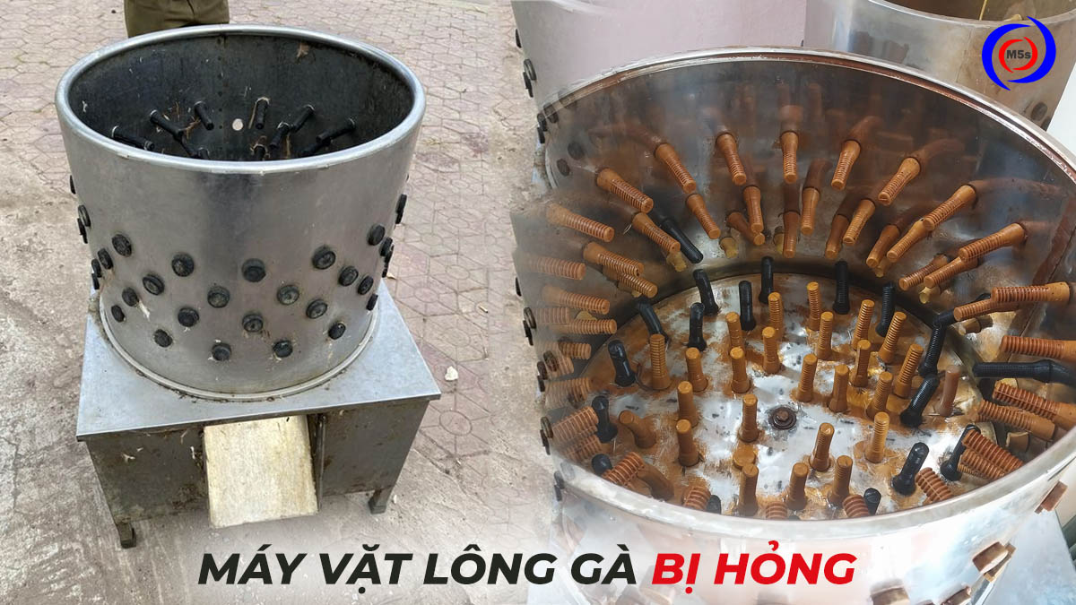 Máy vặt lông gà bị hỏng Máy vặt lông gà bị hỏng