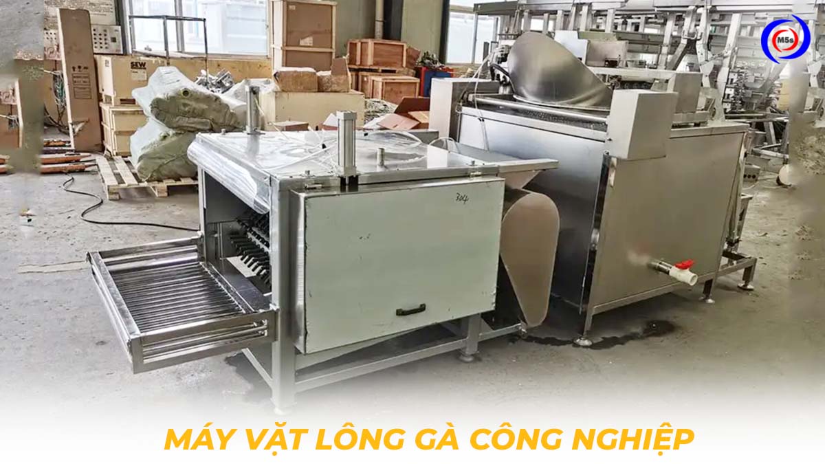 Máy vặt lông gà công nghiệp Máy vặt lông gà công nghiệp