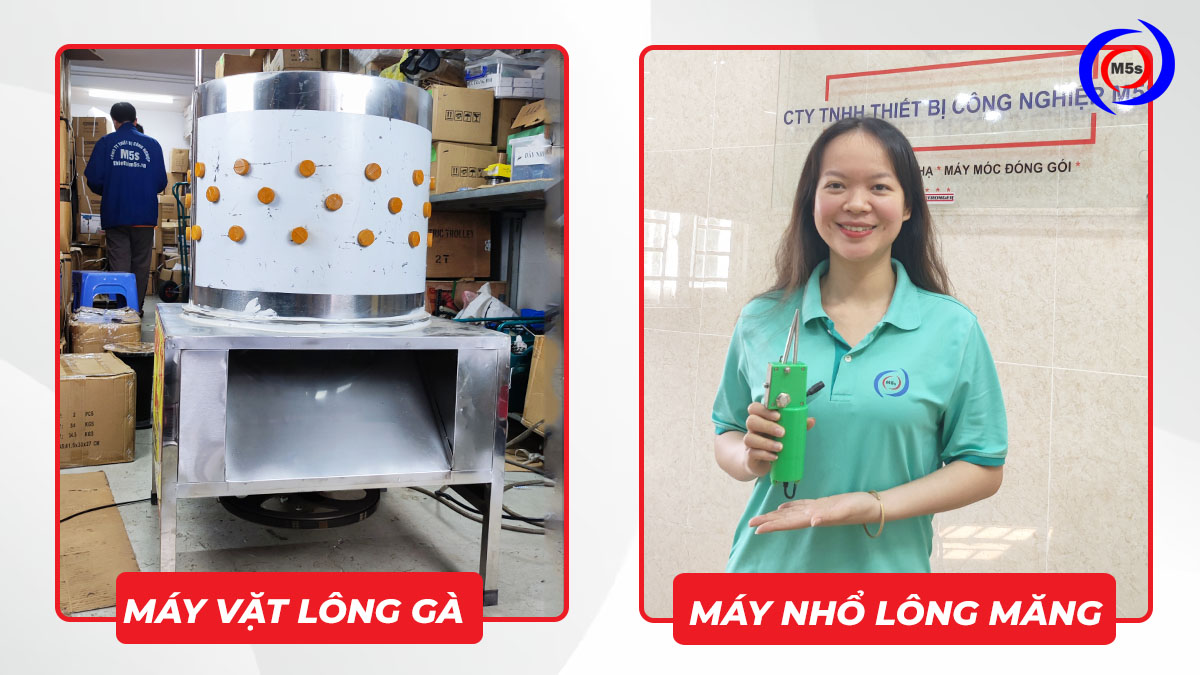 Nên sử dụng máy làm lông gà hay máy nhổ lông cầm tay Nên sử dụng máy làm lông gà hay máy nhổ lông cầm tay