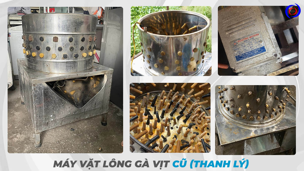 Máy vặt lông gà cũ, thanh lý Máy vặt lông gà cũ, thanh lý