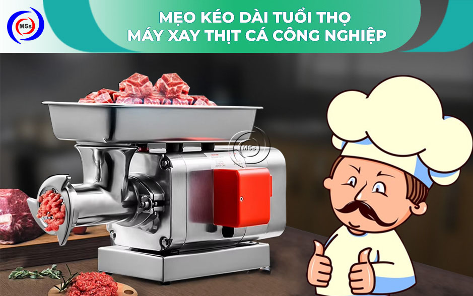 Mẹo tăng tuổi thọ cho máy xay thịt công nghiệp Mẹo tăng tuổi thọ cho máy xay thịt công nghiệp