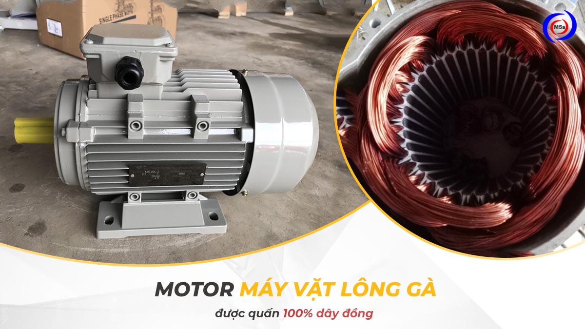 Motor máy vặt lông gà Motor máy vặt lông gà