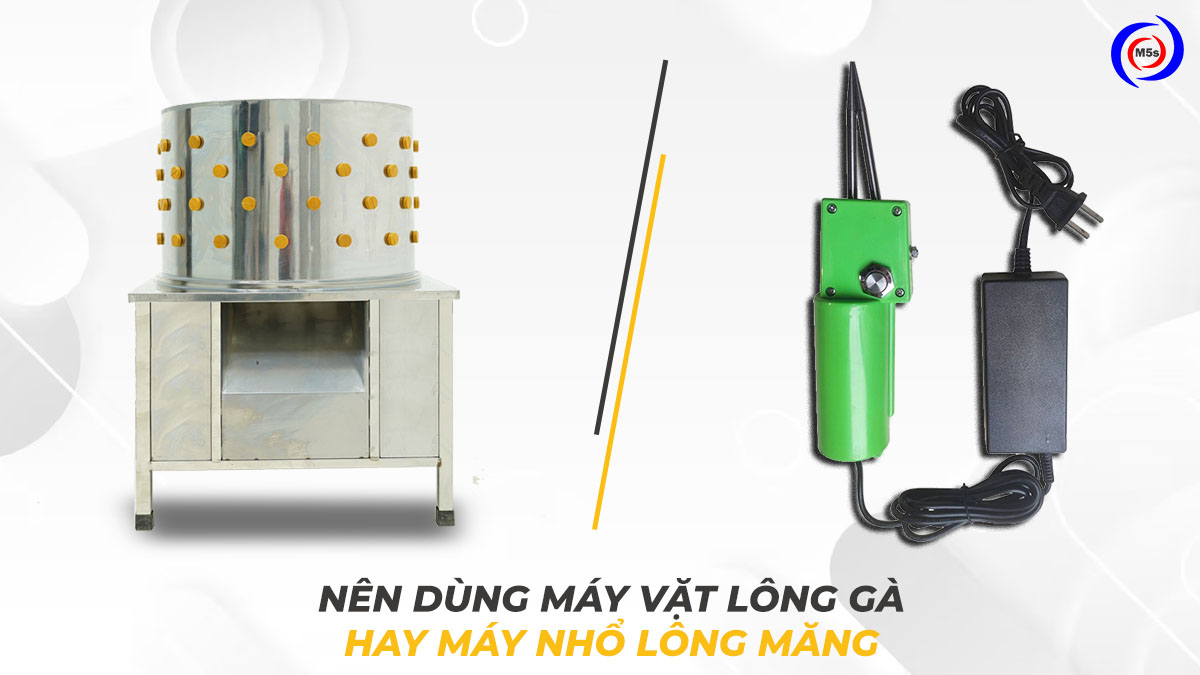 Nên mua máy nhổ lông măng vịt hay máy vặt lông gà Nên mua máy nhổ lông măng vịt hay máy vặt lông gà