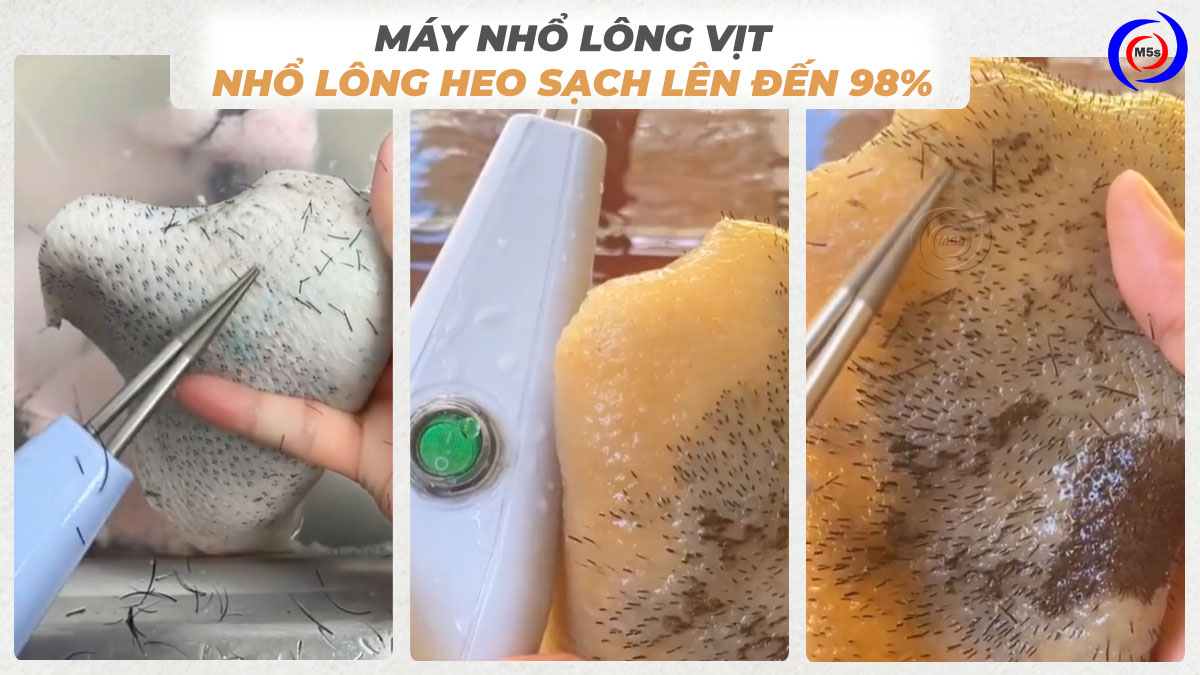 Máy nhổ lông măng vịt, lông heo Máy nhổ lông măng vịt, lông heo