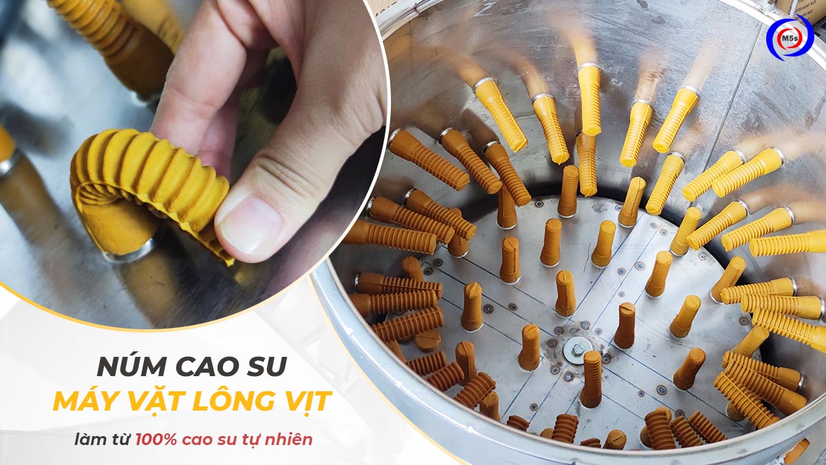 Núm cao su máy vặt lông gà Núm cao su máy vặt lông gà