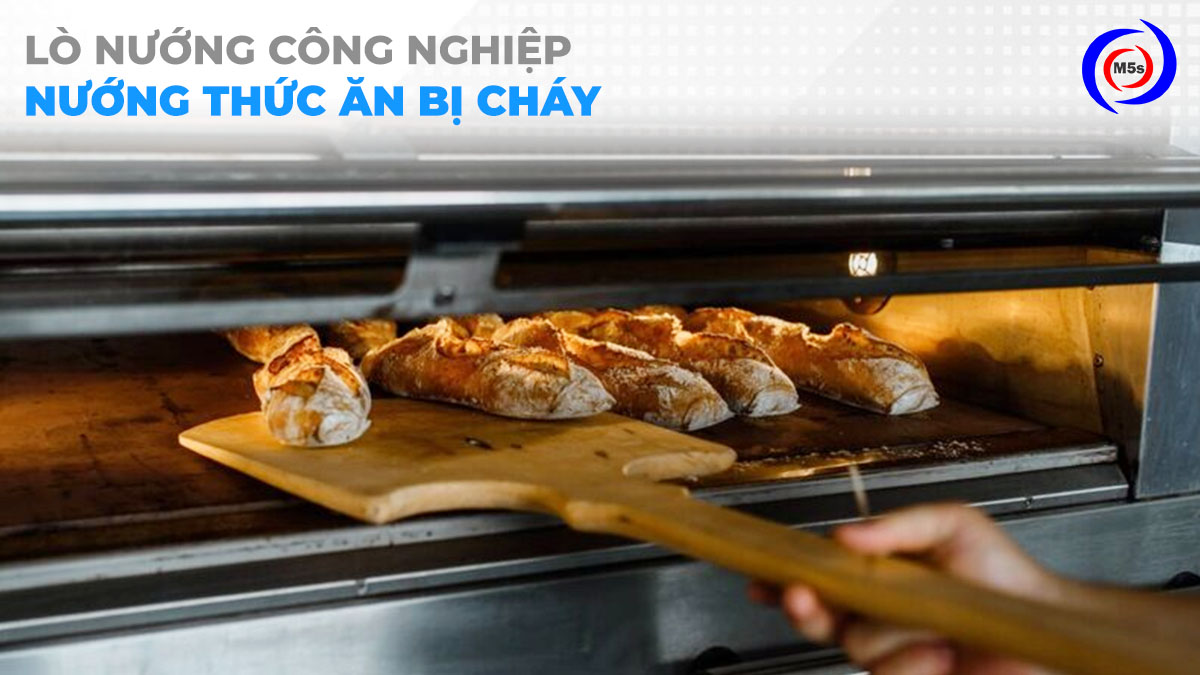 Lò nướng thực phẩm bị cháy Lò nướng thực phẩm bị cháy