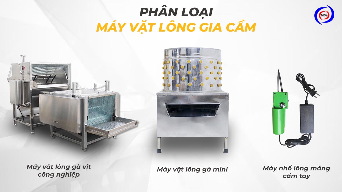 Phân loại máy vặt lông gà Phân loại máy vặt lông gà