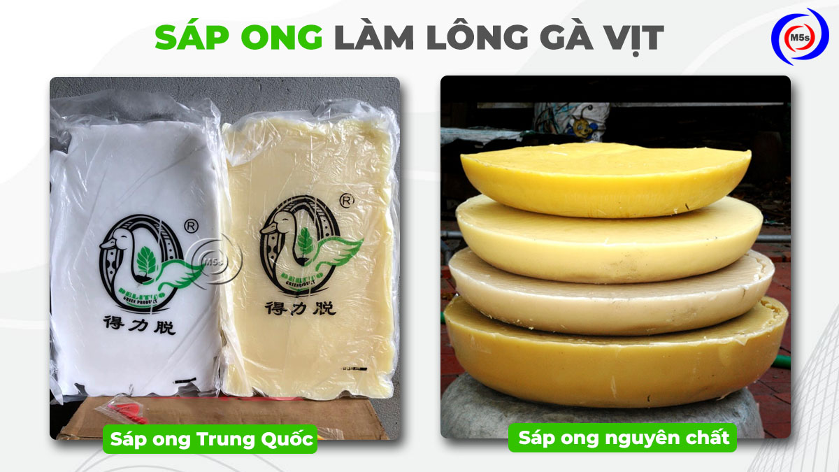 Sáp ong làm lông gà vịt Sáp ong làm lông gà vịt