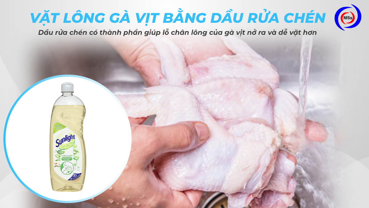 Vặt lông gà vịt bằng nước rửa chén Vặt lông gà vịt bằng nước rửa chén