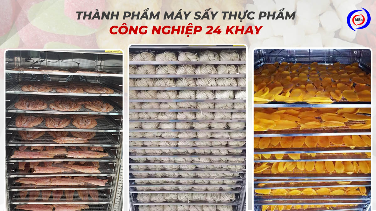 Thành phẩm máy sấy thực phẩm công nghiệp 24 khay Thành phẩm máy sấy thực phẩm công nghiệp 24 khay