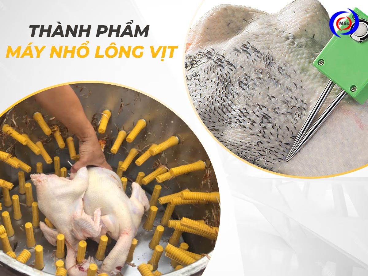 Thành phẩm máy vặt lông gà vịt