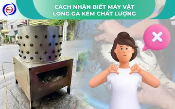 Cách nhận biết máy vặt lông gà kém chất lượng
