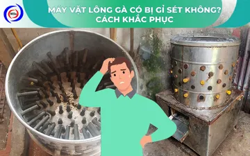 Máy vặt lông gà có gỉ sét không? Cách khắc phục