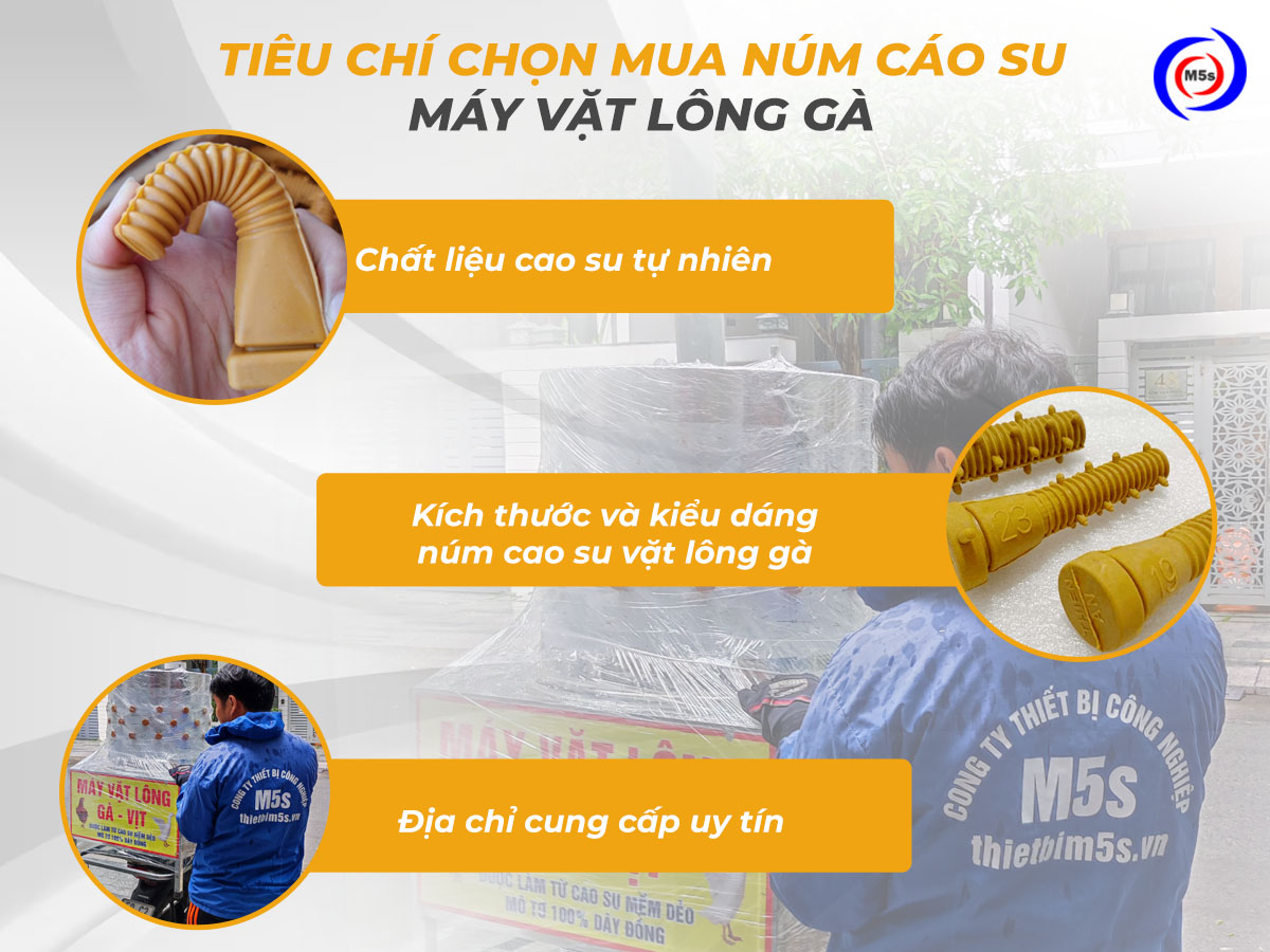 Tiêu chí chọn mua núm cao su máy vặt lông gà Tiêu chí chọn mua núm cao su máy vặt lông gà