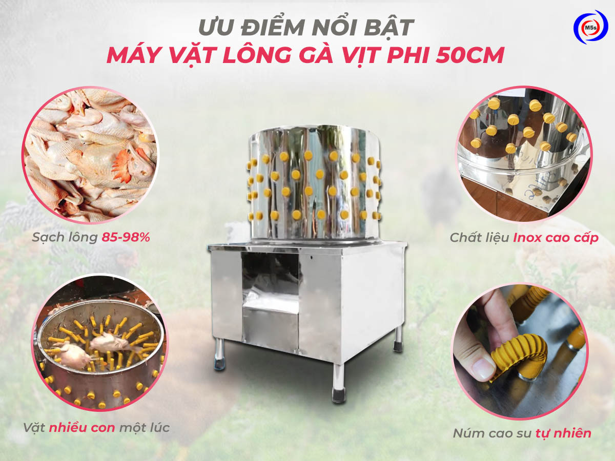 Ưu điểm của máy vặt lông gà phi 50cm Ưu điểm của máy vặt lông gà phi 50cm