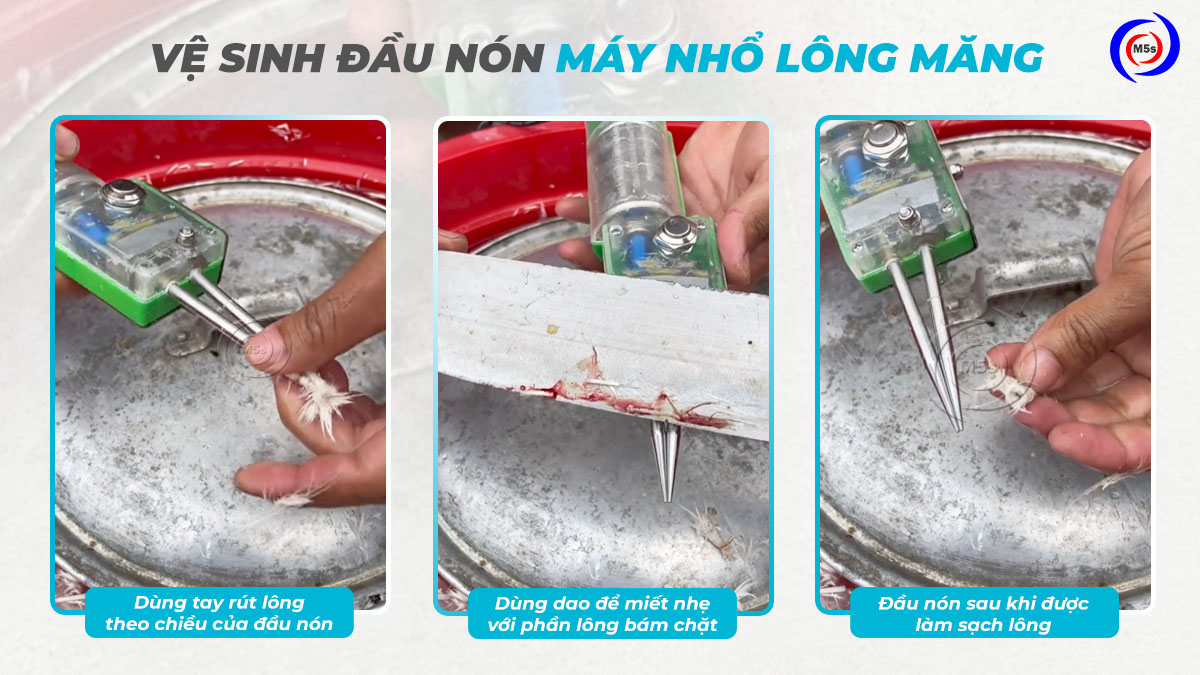 Hướng dẫn vệ sinh đầu nón máy nhổ lông măng vịt Hướng dẫn vệ sinh đầu nón máy nhổ lông măng vịt