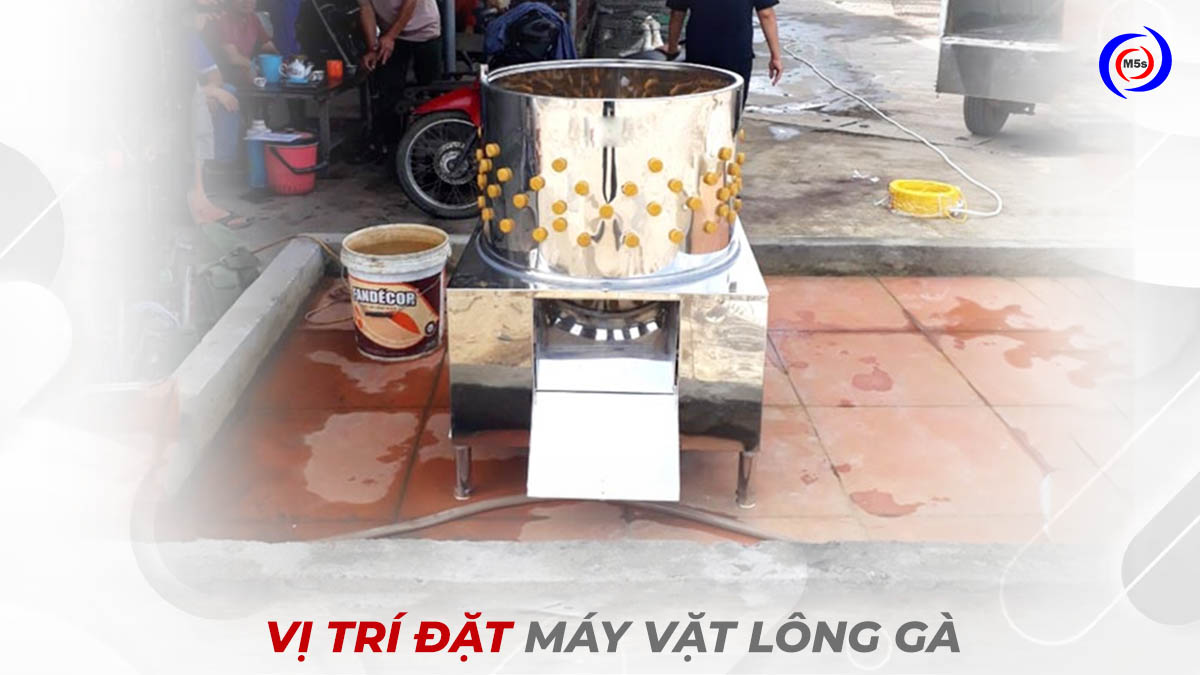 Vị trí đặt máy vặt lông gà Vị trí đặt máy vặt lông gà