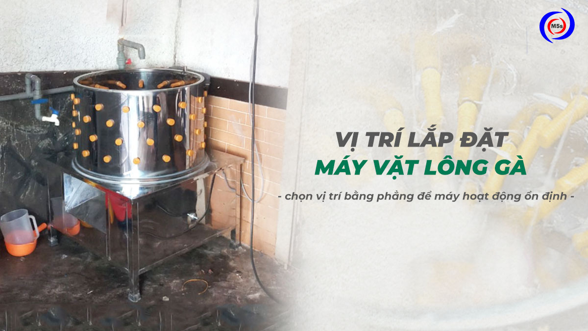 Vị trí lắp đặt máy vặt lông gà Vị trí lắp đặt máy vặt lông gà