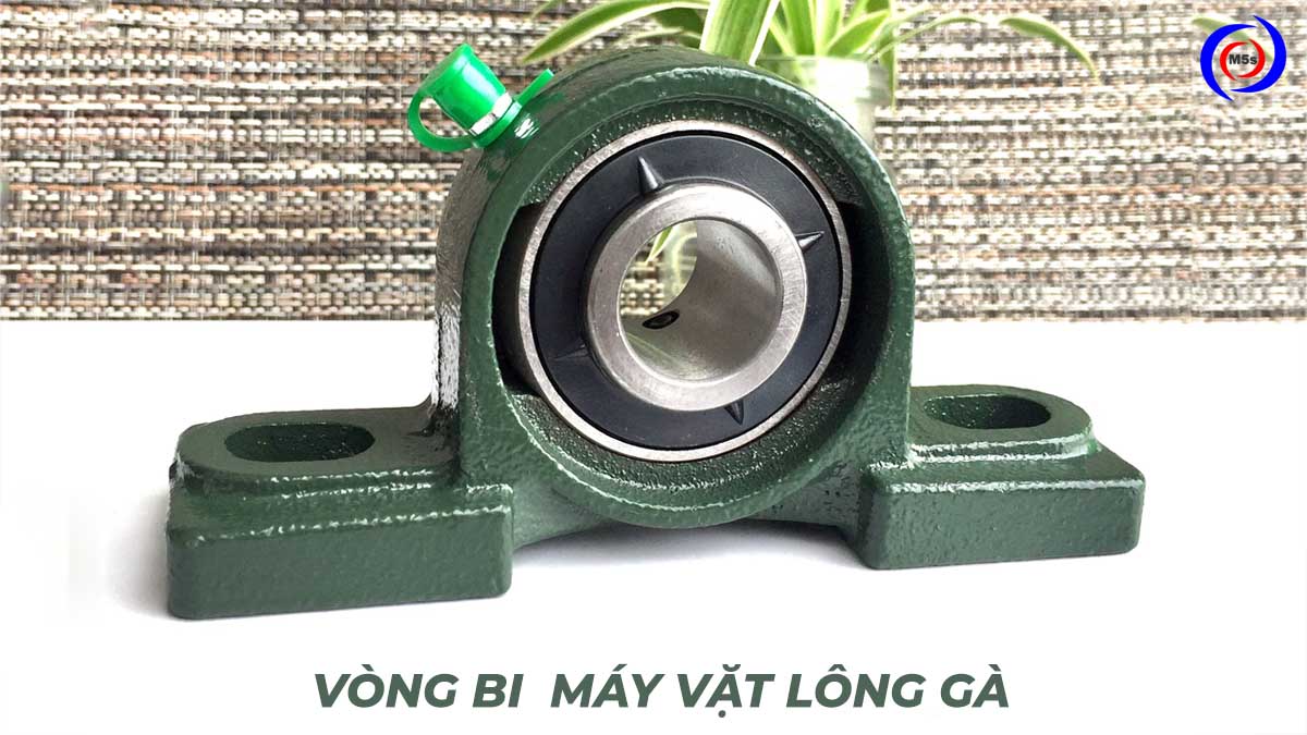 Vòng bi máy vặt lông gà Vòng bi máy vặt lông gà
