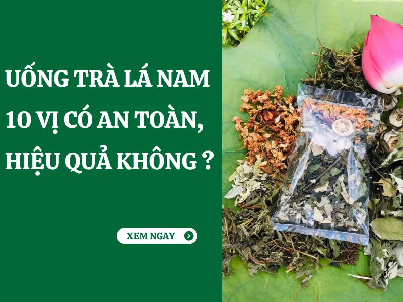 Uống trà lá nam giảm cân 10 vị có hại cho sức khỏe không?