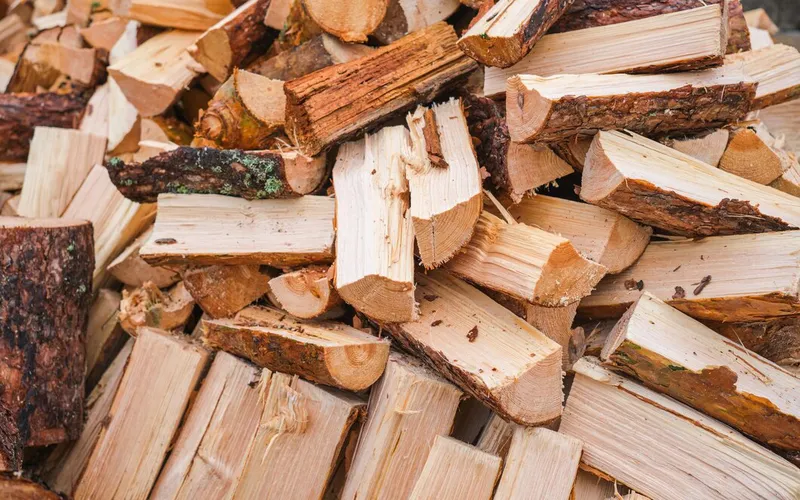 Everything You Need to Know About Pine Firewood: The Ideal Choice for Heating and Cooking
