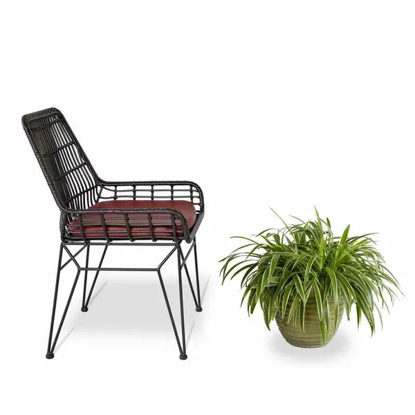 Ghế Cafe Giả Mây GCFDT02
