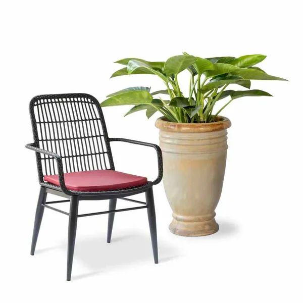 Ghế Cafe Giả Mây GCFDT122