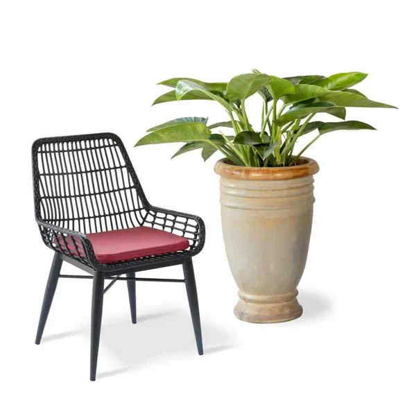 Ghế Cafe Giả Mây GCFDT123