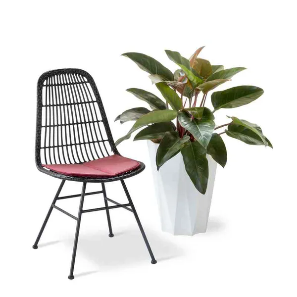 Ghế Cafe Giả Mây GCFDT124