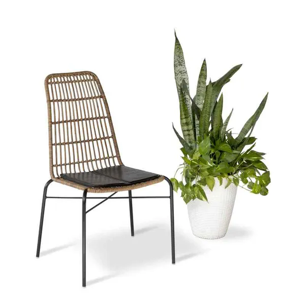 Ghế Cafe Giả Mây GCFDT133