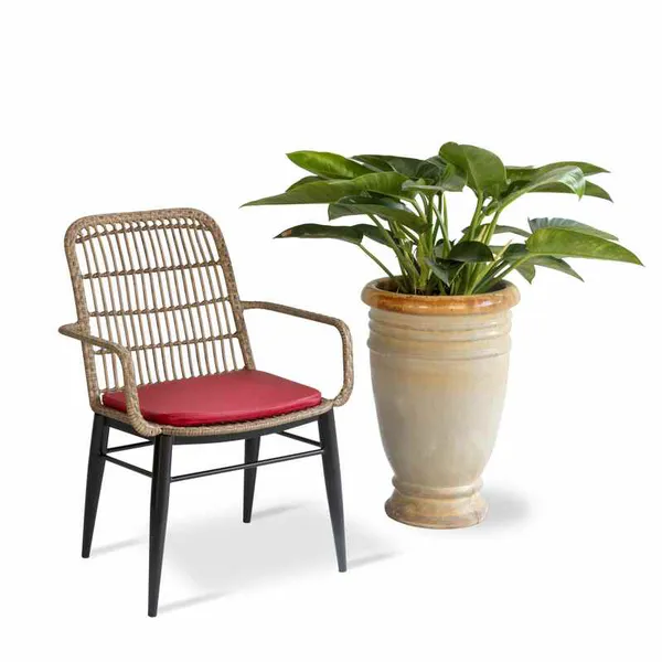 Ghế Cafe Giả Mây GCFDT135