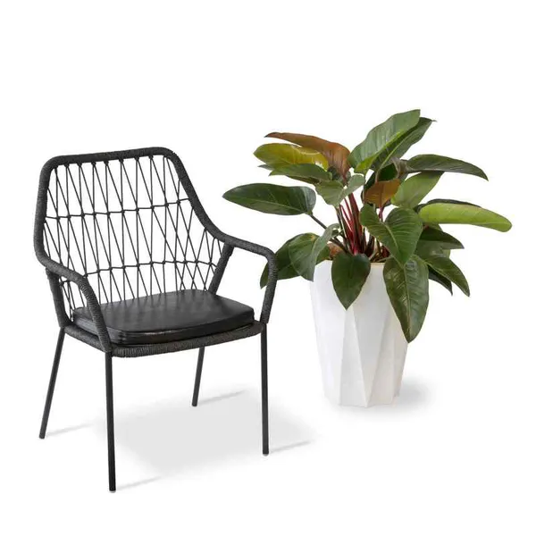 Ghế Cafe Đan Dây Dù GCFDT150