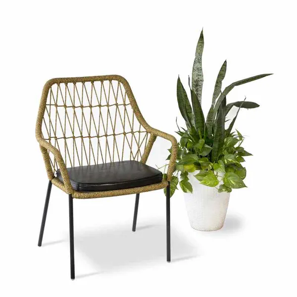Ghế Cafe Đan Dây Dù GCFDT153