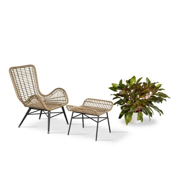 Ghế Cafe Giả Mây GCFDT22