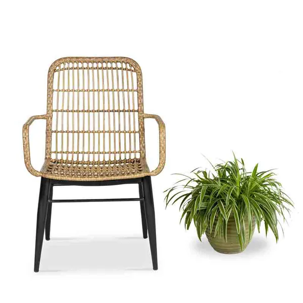 Ghế Cafe Giả Mây GCFDT32