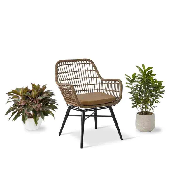 Ghế Cafe Giả Mây GCFDT52